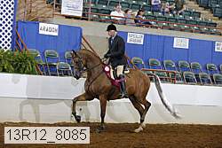 13r12_8085 proof