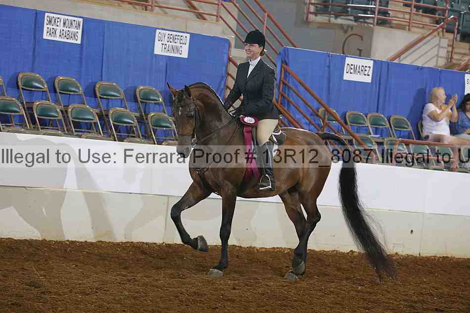 Proof 13r12_8087