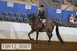 13r12_8087 proof