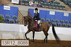 13r12_8088 proof