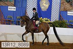 13r12_8089 proof