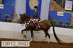 13r12_8092 proof