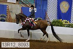 13r12_8093 proof