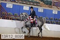 13r12_8095 proof