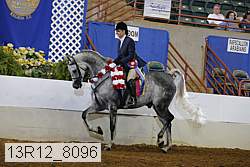 13r12_8096 proof