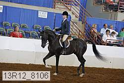 13r12_8106 proof