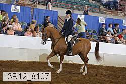13r12_8107 proof