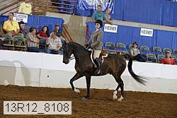 13r12_8108 proof
