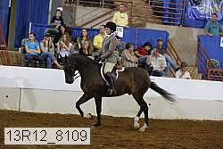 13r12_8109 proof