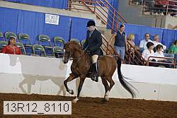 13r12_8110 proof