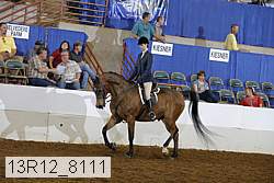 13r12_8111 proof