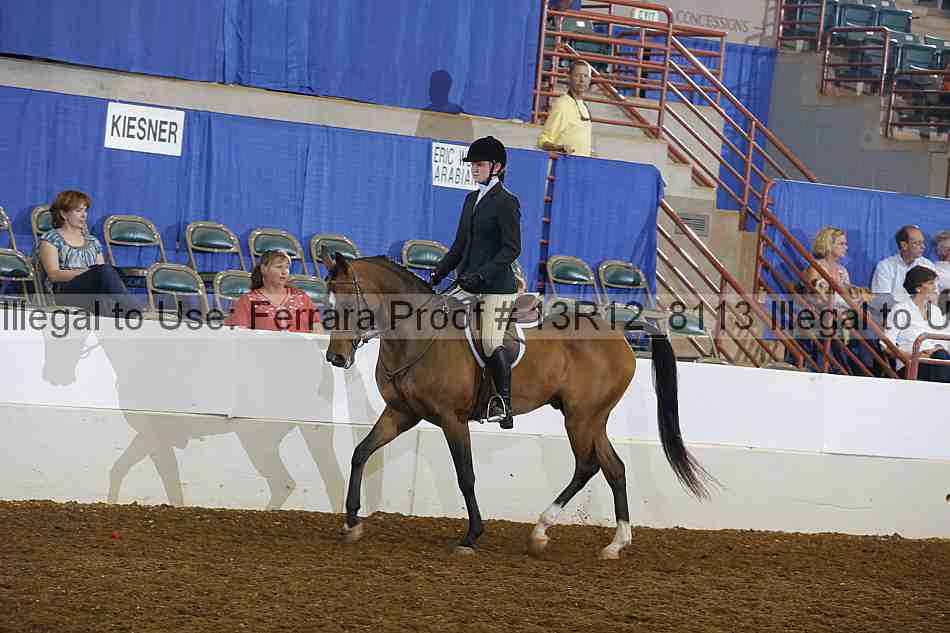 Proof 13r12_8113