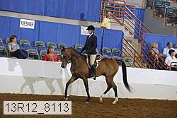 13r12_8113 proof