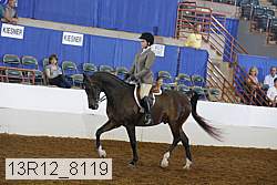 13r12_8119 proof