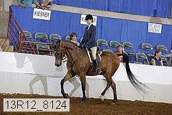 13r12_8124 proof