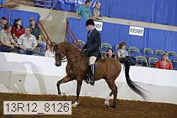 13r12_8126 proof