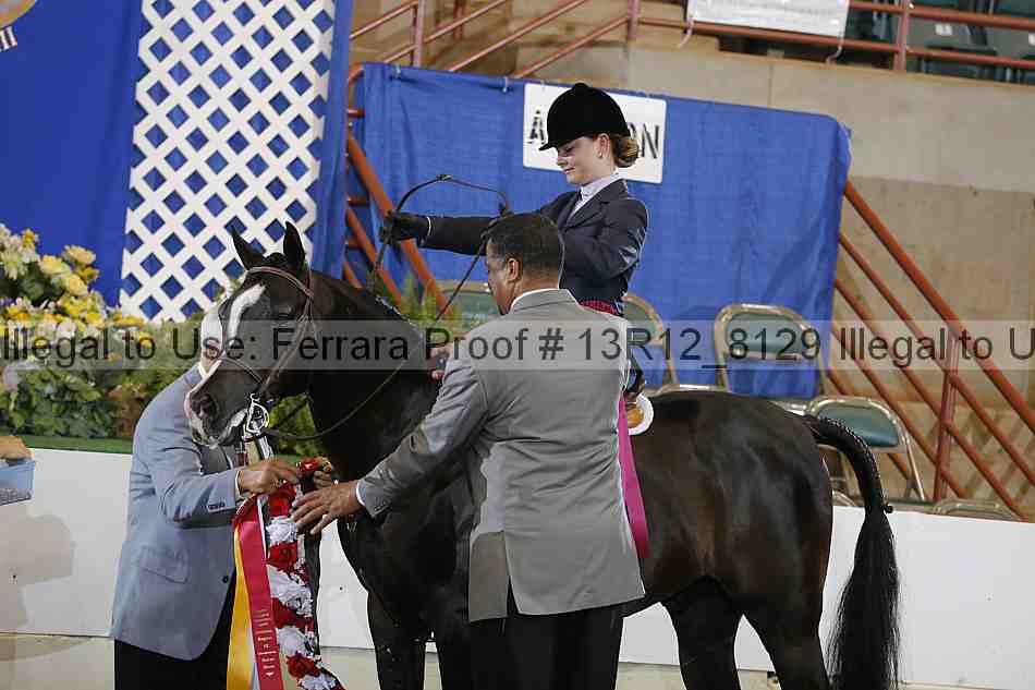 Proof 13r12_8129