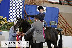 13r12_8129 proof
