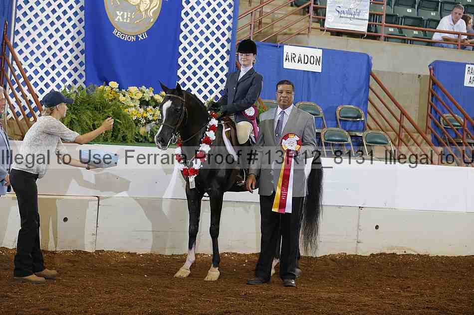 Proof 13r12_8131