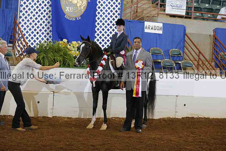 Proof 13r12_8133