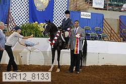 13r12_8133 proof