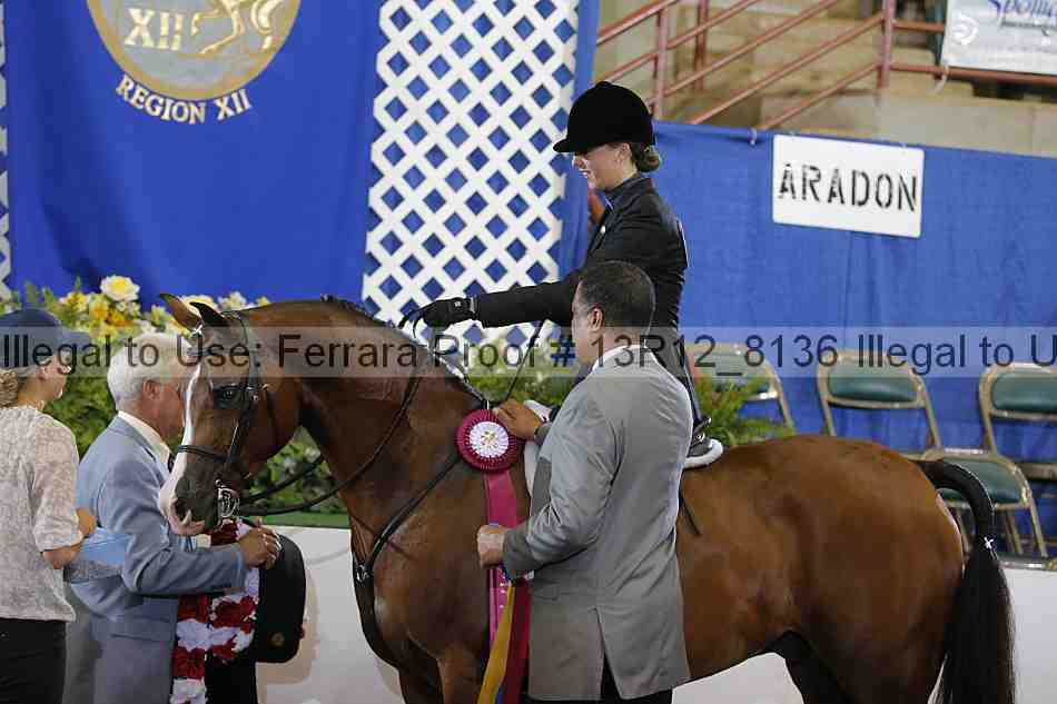 Proof 13r12_8136