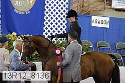 13r12_8136 proof