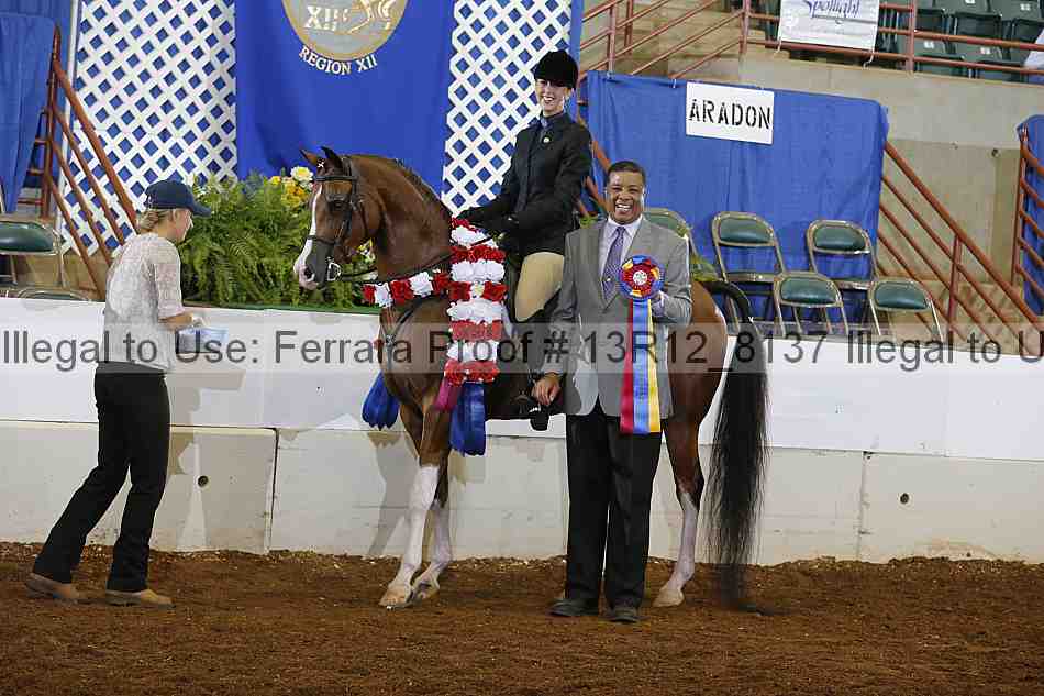 Proof 13r12_8137