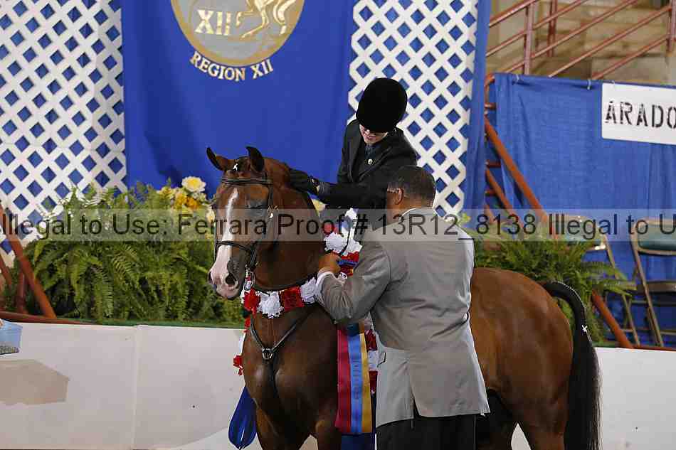 Proof 13r12_8138