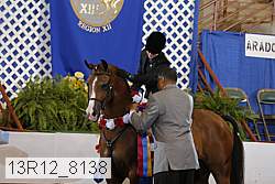 13r12_8138 proof