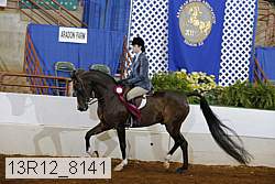 13r12_8141 proof