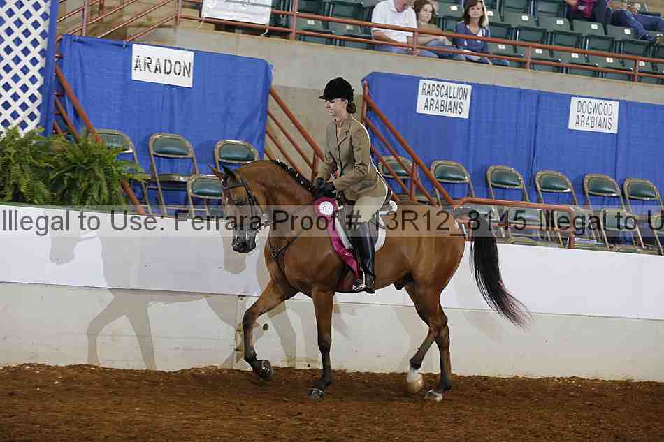 Proof 13r12_8145