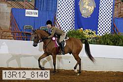 13r12_8146 proof