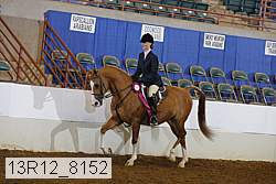 13r12_8152 proof