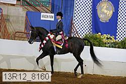 13r12_8160 proof