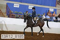 13r12_8185 proof