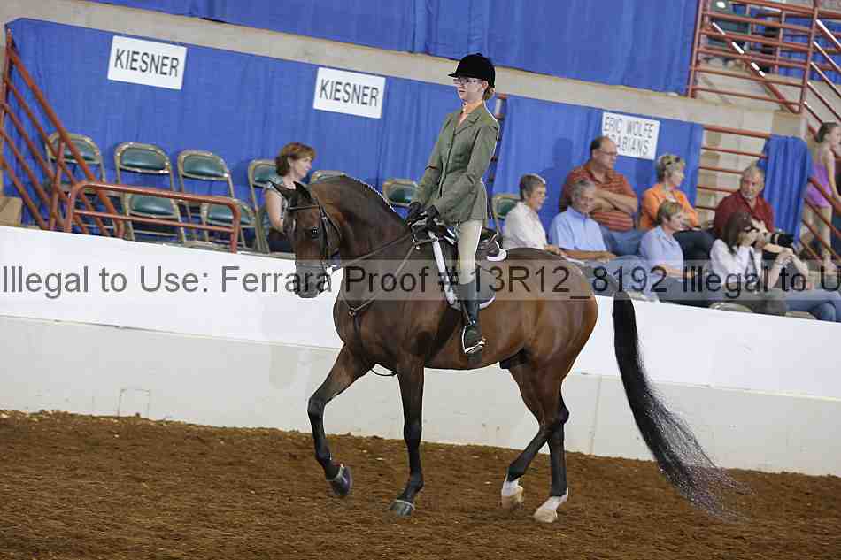 Proof 13r12_8192