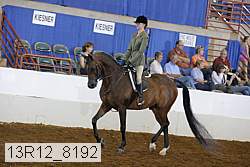 13r12_8192 proof