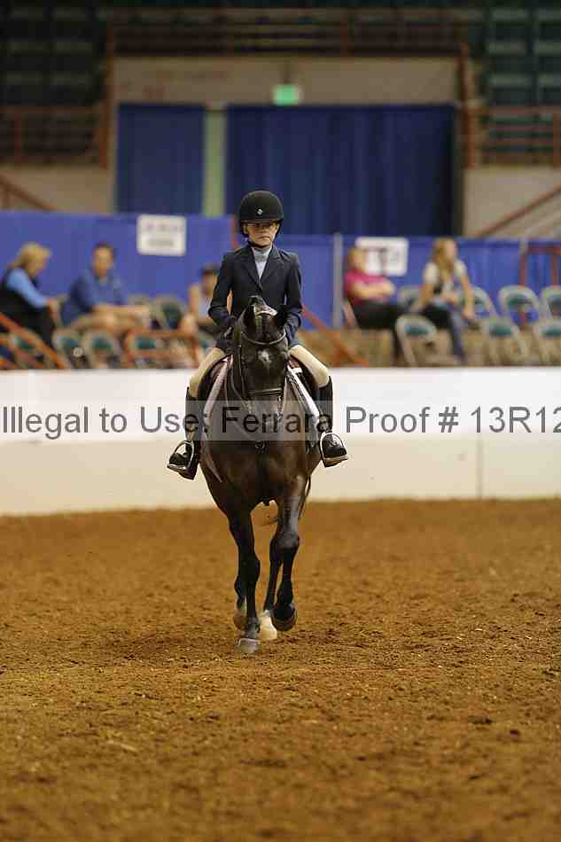 Proof 13r12_8193