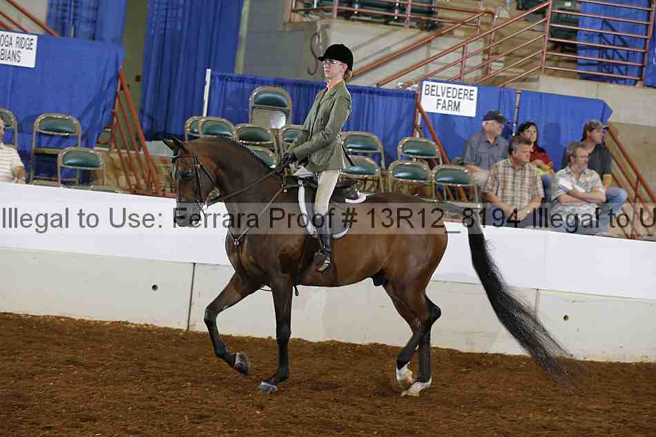 Proof 13r12_8194