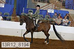 13r12_8194 proof