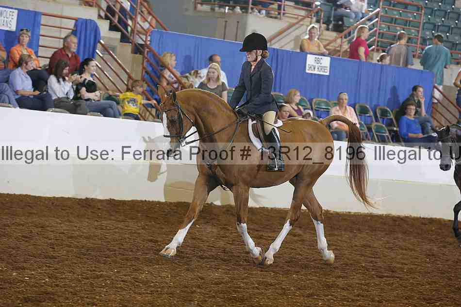 Proof 13r12_8196