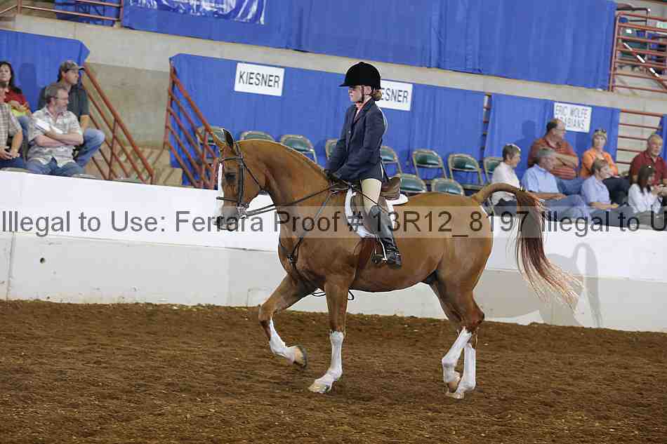 Proof 13r12_8197