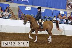 13r12_8197 proof