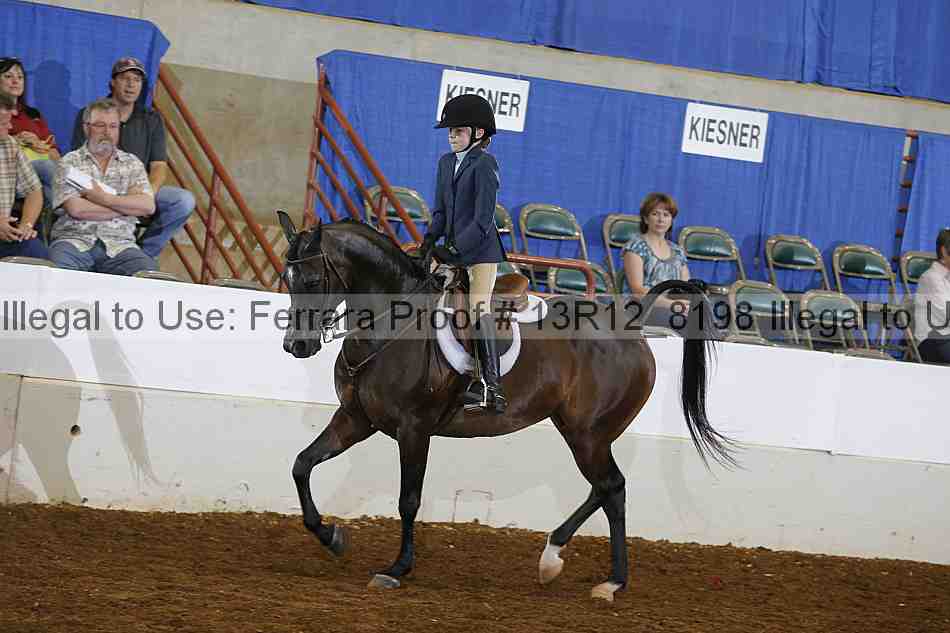 Proof 13r12_8198