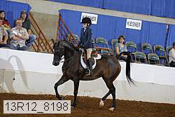 13r12_8198 proof