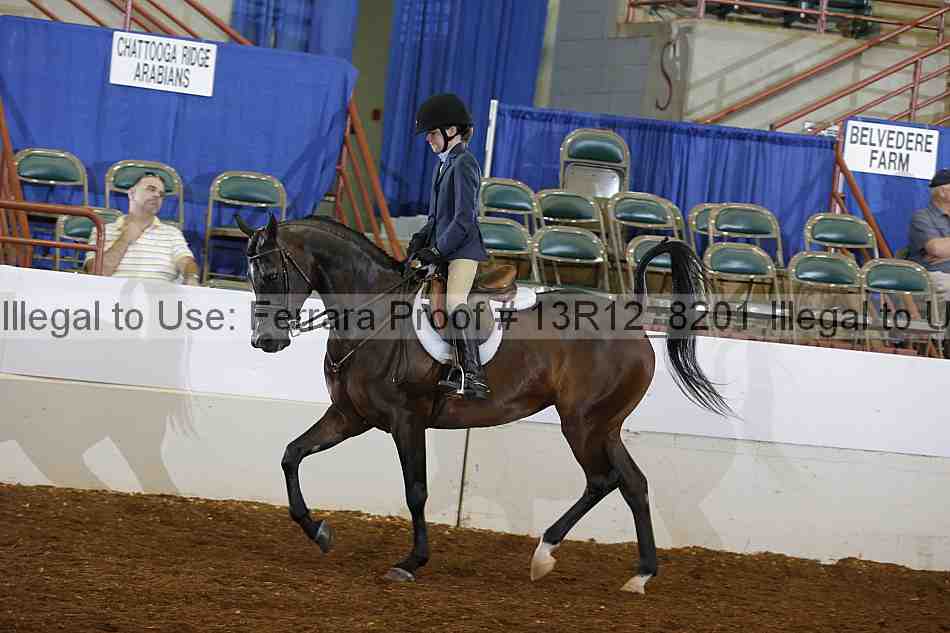 Proof 13r12_8201