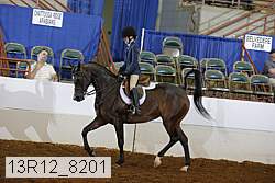 13r12_8201 proof
