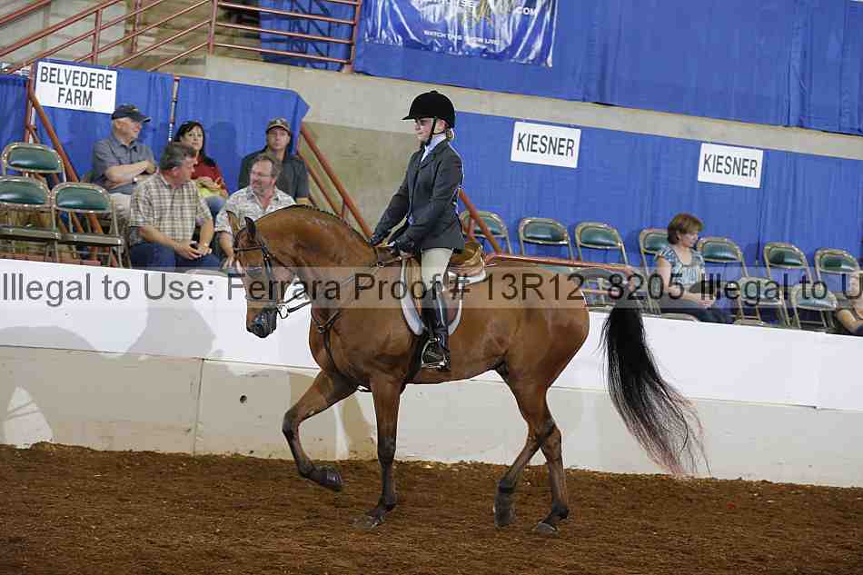 Proof 13r12_8205