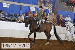 13r12_8207 proof